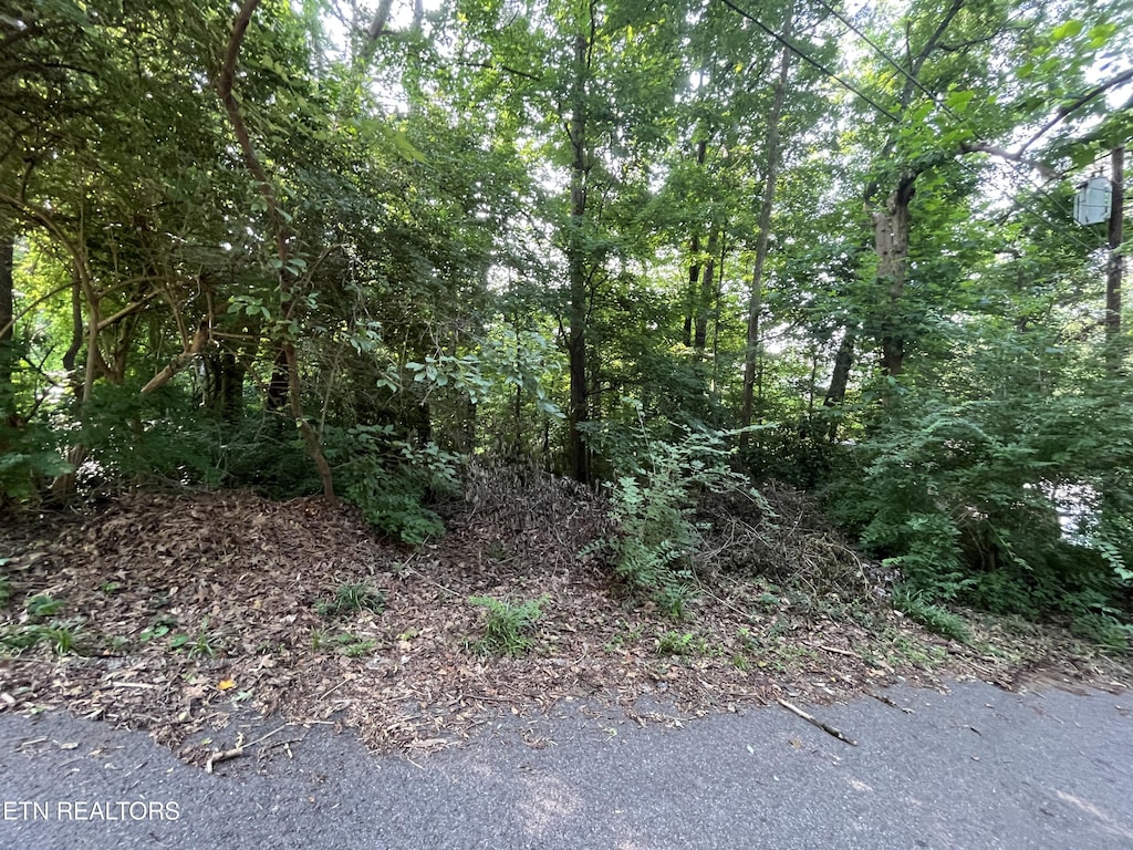 2504 Craghead Ln, Knoxville, TN 37920 - photo 3