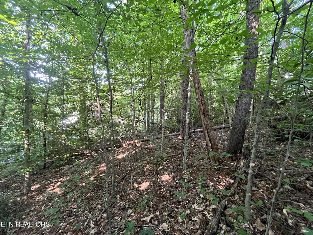 2504 Craghead Ln, Knoxville, TN 37920 - photo 1