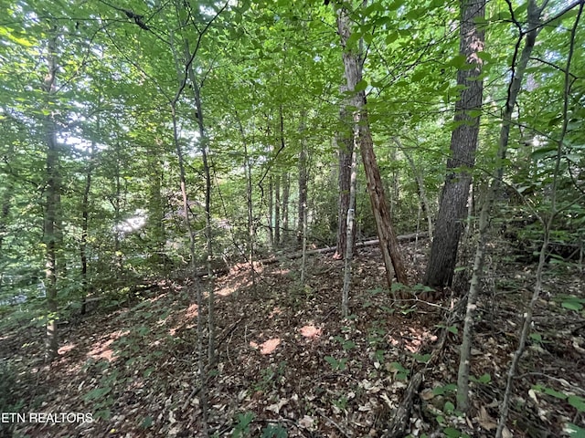 2504 Craghead Ln, Knoxville, TN 37920 - photo 1