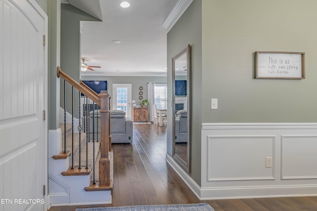 1221 Sky Top Ln, Powell, TN 37849 - foyer entrance featuring ornamental molding, stairway, dark wood-style floors, a decorative wall, and a wainscoted wall