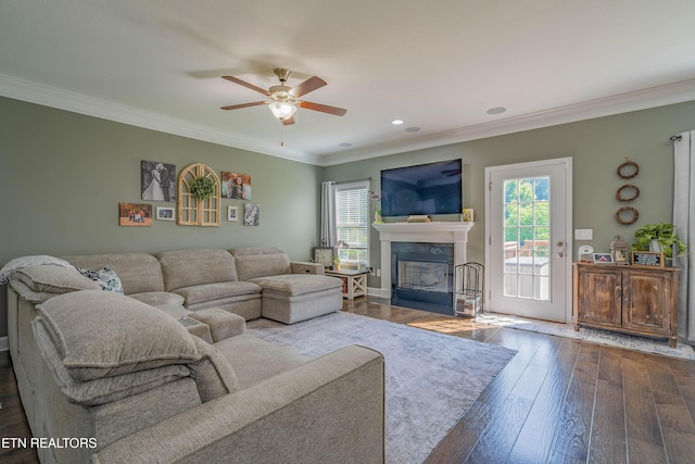 1221 Sky Top Ln, Powell, TN 37849 - living room with a fireplace with flush hearth, crown molding, a ceiling fan, dark wood-style flooring, and recessed lighting