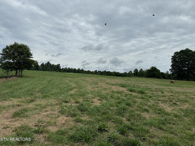 Stockton Rd, Jamestown, TN 38556 - photo 6