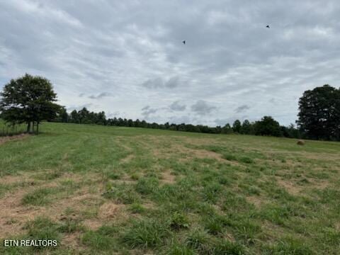 Stockton Rd, Jamestown, TN 38556 - photo 7