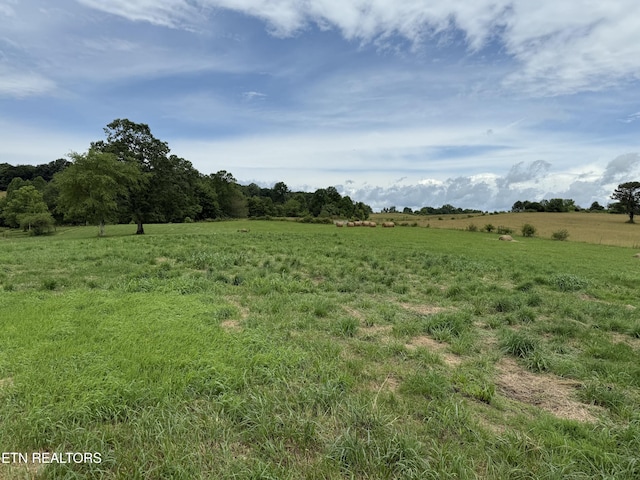 Stockton Rd, Jamestown, TN 38556 - photo 4