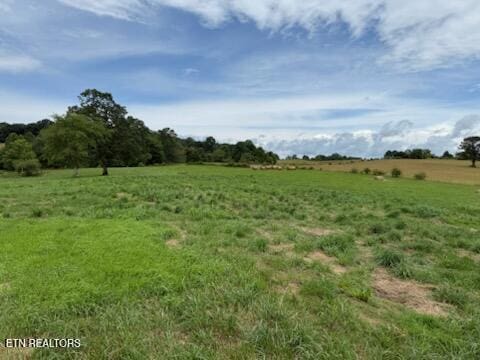 Stockton Rd, Jamestown, TN 38556 - photo 3