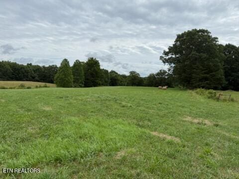 Stockton Rd, Jamestown, TN 38556 - photo 14