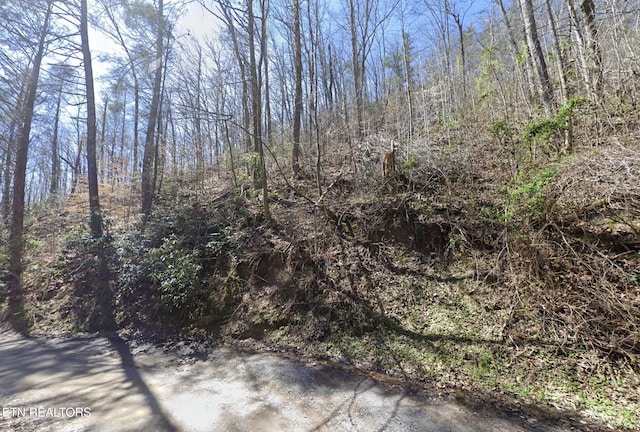 910 Ditney Way, Sevierville, TN 37876