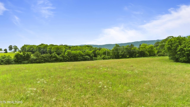 Old Middlesboro Hwy, Lafollette, TN 37766