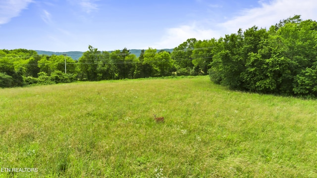 Old Middlesboro Hwy, Lafollette, TN 37766