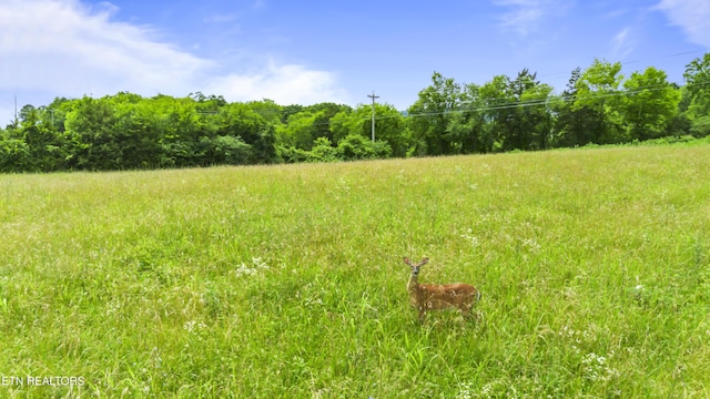 Old Middlesboro Hwy, Lafollette, TN 37766