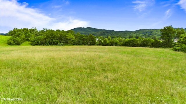 Old Middlesboro Hwy, Lafollette, TN 37766