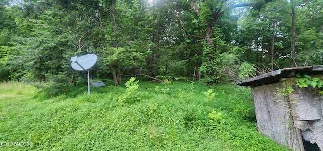229 Obis Bowling Rd, Robbins, TN 37852 - view of yard with a view of trees