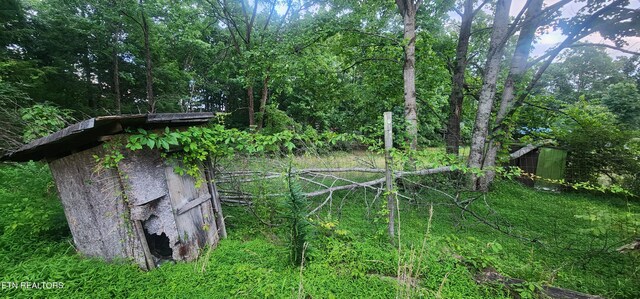 229 Obis Bowling Rd, Robbins, TN 37852 - view of yard