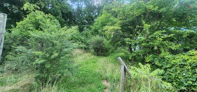 229 Obis Bowling Rd, Robbins, TN 37852 - view of woods