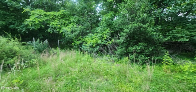 229 Obis Bowling Rd, Robbins, TN 37852 - view of woods
