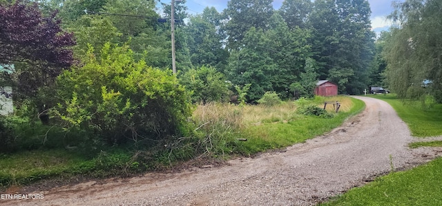 229 Obis Bowling Rd, Robbins, TN 37852 - view of dirt / gravel road