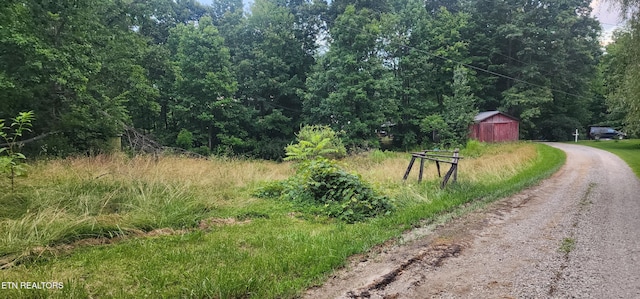 229 Obis Bowling Rd, Robbins, TN 37852 - view of road with a wooded view