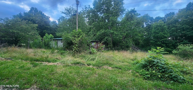 229 Obis Bowling Rd, Robbins, TN 37852 - view of local wilderness