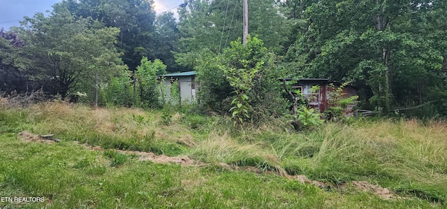 229 Obis Bowling Rd, Robbins, TN 37852 - view of tree filled area