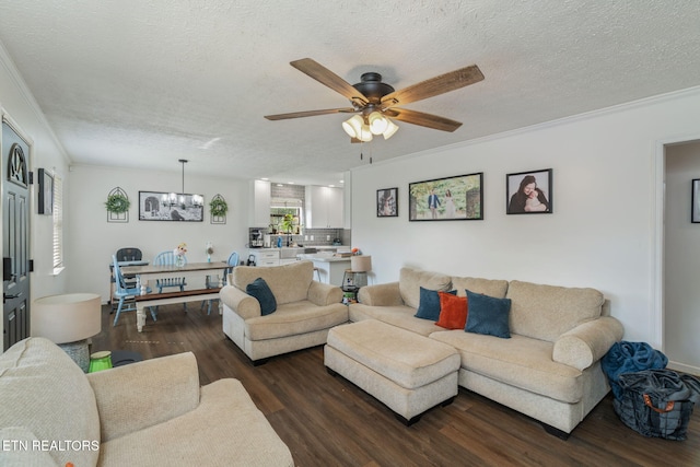 124 Pheasant Rd, Clinton, TN 37716 - living room featuring dark wood-style floors, crown molding, a textured ceiling, ceiling fan, and a chandelier