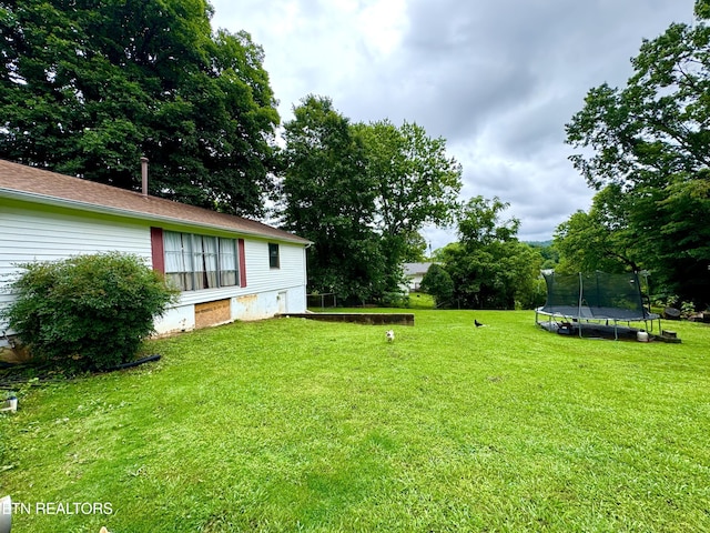 103 Albany Rd, Oak Ridge, TN 37830 - view of grassy yard featuring a trampoline
