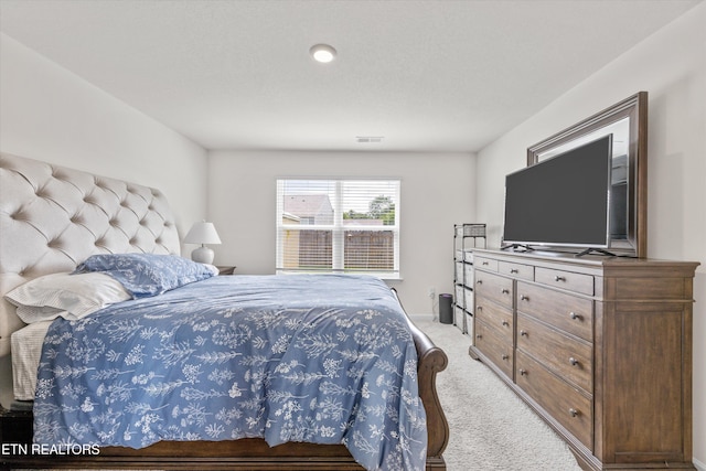 213 Newman Cir, Jefferson City, TN 37760 - bedroom with light carpet