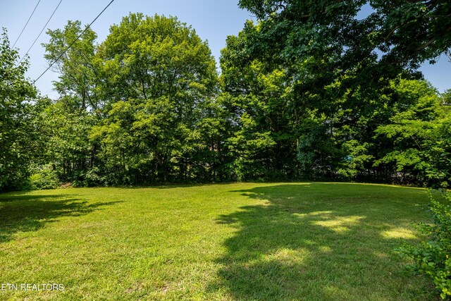 1506 Moyers St, White Pine, TN 37890 - photo 8