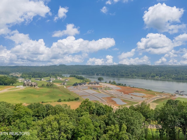 5312 Old Dogwood Trl, Loudon, TN 37774 - photo 3