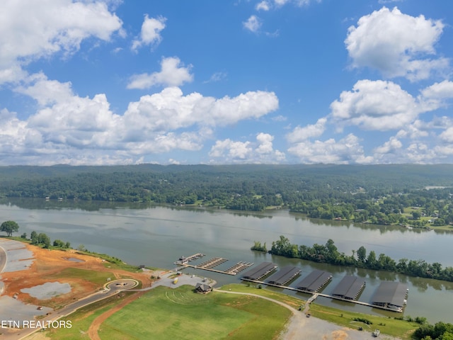 5312 Old Dogwood Trl, Loudon, TN 37774 - photo 11