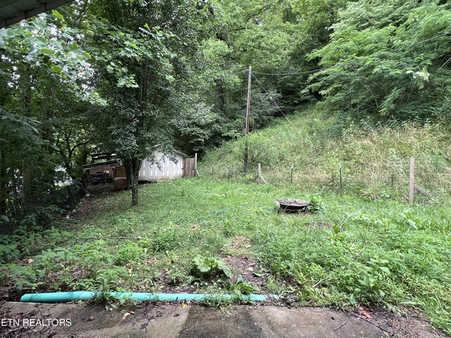 435 Simms Fork Rd, Arjay, KY 40902 - view of yard with a storage shed