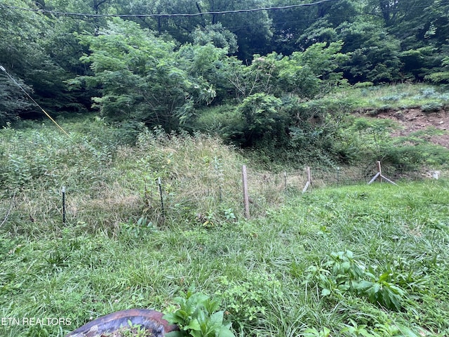 435 Simms Fork Rd, Arjay, KY 40902 - view of local wilderness