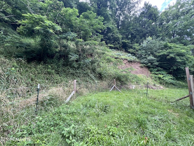 435 Simms Fork Rd, Arjay, KY 40902 - view of undeveloped land