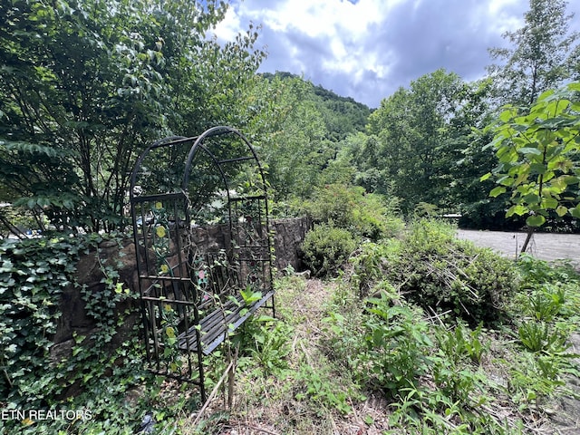 435 Simms Fork Rd, Arjay, KY 40902 - view of mountain background with a heavily wooded area