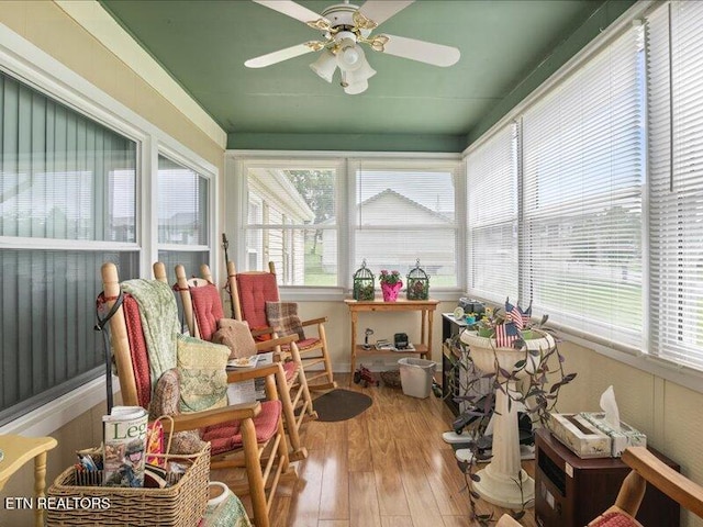 205 Ellison Rd, Lafollette, TN 37766 - sunroom featuring hardwood / wood-style floors