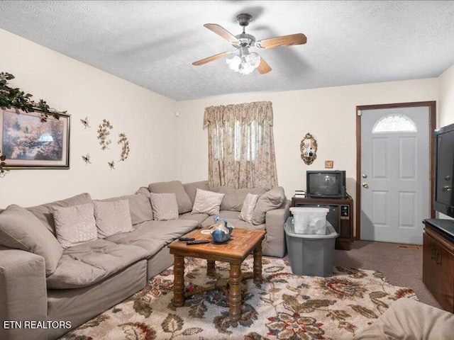 205 Ellison Rd, Lafollette, TN 37766 - carpeted living area featuring healthy amount of natural light, a ceiling fan, and a textured ceiling