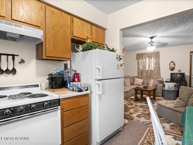 205 Ellison Rd, Lafollette, TN 37766 - kitchen with white appliances, under cabinet range hood, open floor plan, light countertops, and a textured ceiling