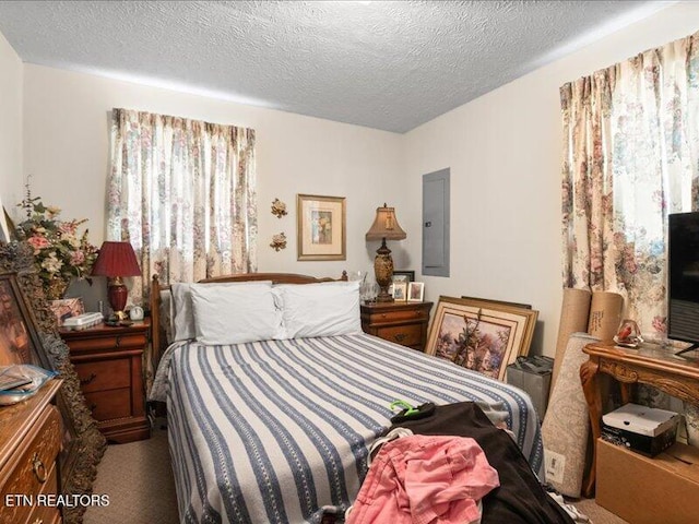 205 Ellison Rd, Lafollette, TN 37766 - bedroom with electric panel, a textured ceiling, and carpet floors