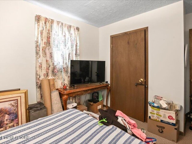 205 Ellison Rd, Lafollette, TN 37766 - bedroom with a textured ceiling and carpet