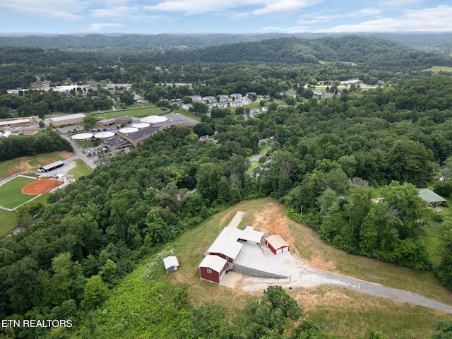 716 Skyline Dr, Clinton, TN 37716 - photo 44