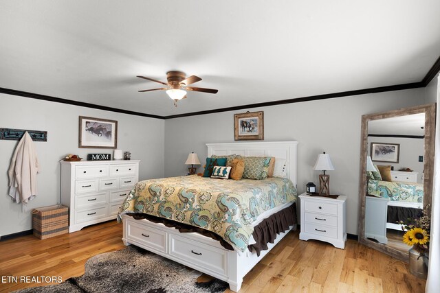 716 Skyline Dr, Clinton, TN 37716 - photo 16