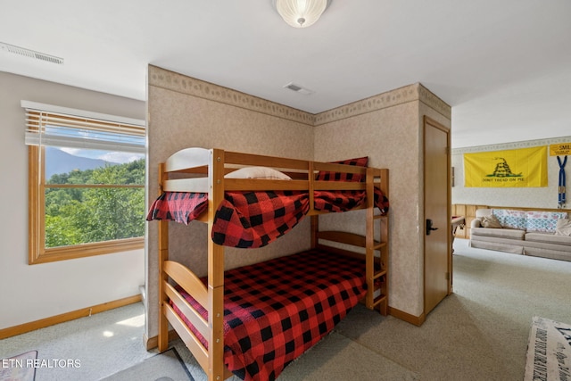 860 Heiden Dr, Gatlinburg, TN 37738 - photo 19
