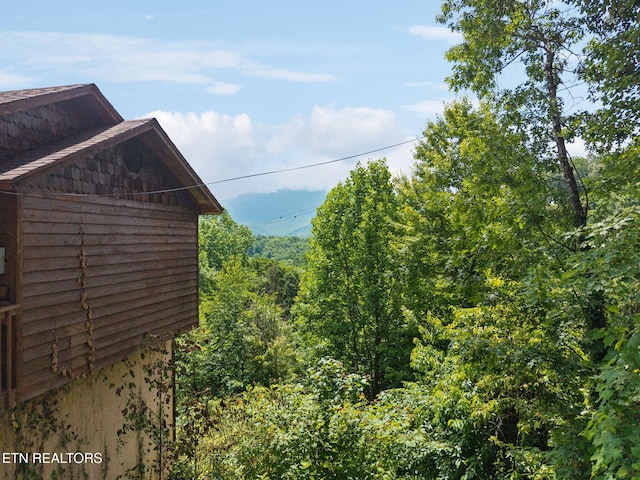 860 Heiden Dr, Gatlinburg, TN 37738 - photo 33