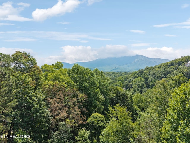 860 Heiden Dr, Gatlinburg, TN 37738 - photo 34