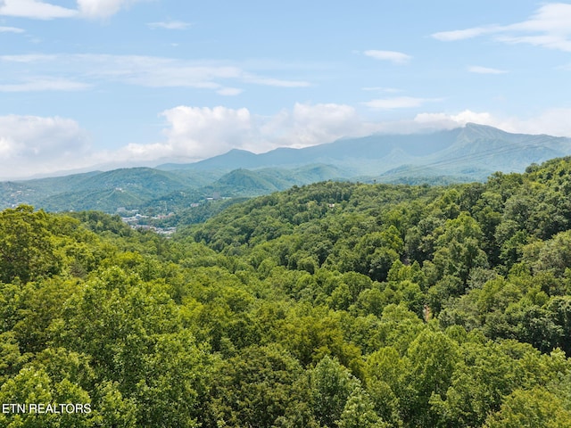 860 Heiden Dr, Gatlinburg, TN 37738 - photo 35