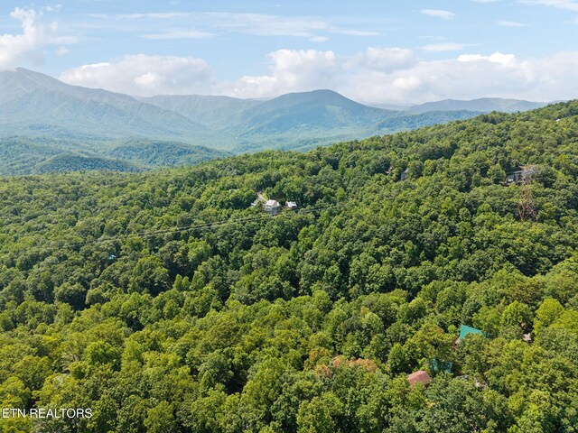 860 Heiden Dr, Gatlinburg, TN 37738 - photo 37