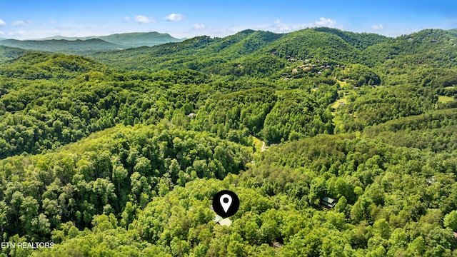 2011 Ridgecrest Loop Ln, Sevierville, TN 37876 - mountain view with a heavily wooded area