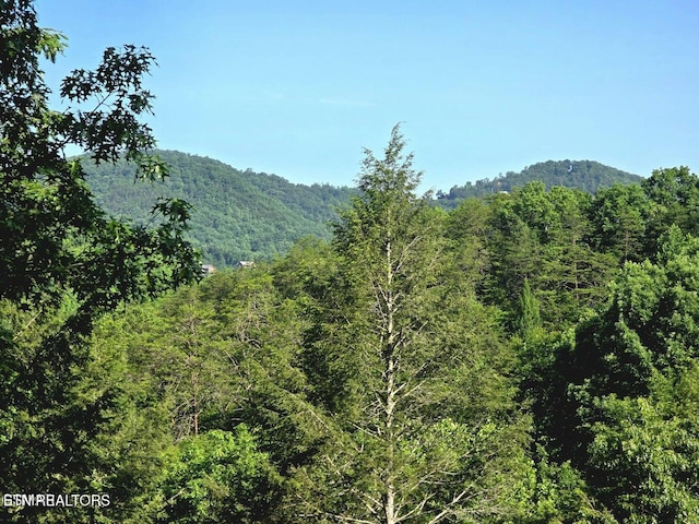 2011 Ridgecrest Loop Ln, Sevierville, TN 37876 - mountain view with a forest