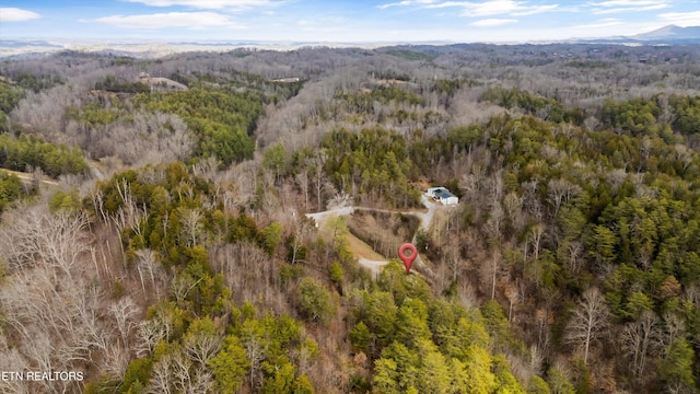 393 Lane Hollow Rd, Sevierville, TN 37876 - photo 6