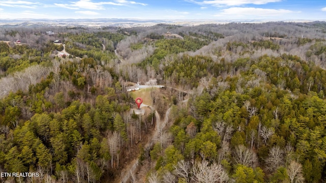 393 Lane Hollow Rd, Sevierville, TN 37876 - photo 37
