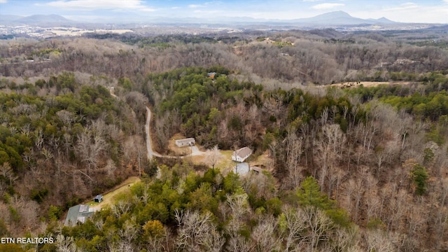 393 Lane Hollow Rd, Sevierville, TN 37876 - photo 36